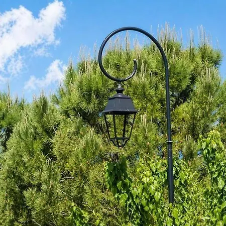 Le Cocon De Soie