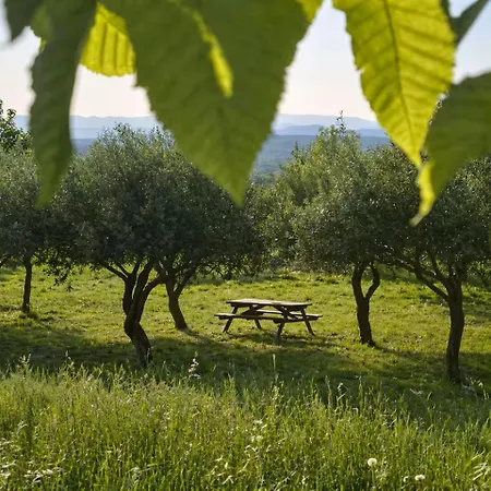 Le Cocon De Soie Saint-Jean-de-Ceyrargues
